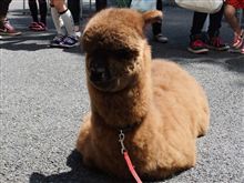 エクササイズと入庫! エクササイズと入庫!