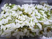 本栖湖　富士芝桜祭りにて買ってきたもの？