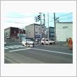 春ですが。