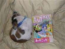 燃費報告（２５０ＴＲ）ときらら