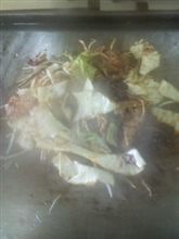 名物…らしいです 名物…らしいです