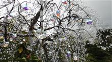 ローコストで行きそこねた…［91］ 箱根ガラスの森美術館