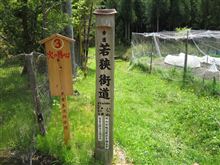 北山杉の里をRunしてきました（京見峠・杉坂・清滝） 