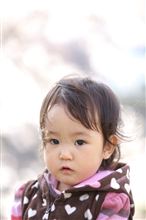 千本桜２０１２！