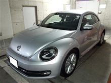 The Beetle 