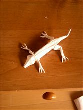 ヤモリ ヤモリ
