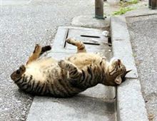 ギリギリすぎる・・・・