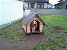 お家から出れないよ。
