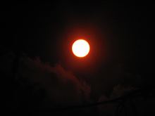 太陽を撮ってみた