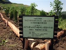 木を植えたよ