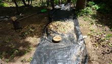 朝からチェンソーで丸太などを切断して、木屑の山が3つもできました。