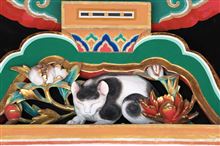 あのエリアを侵攻してみるとするかな～♪