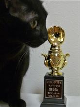 台無しだよ。 台無しだよ。