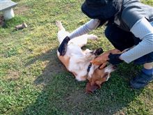 甘えんぼう。
