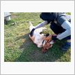 甘えんぼう。