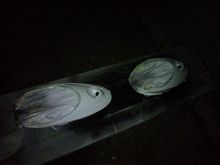 ヘッドライトカラーリング最終段階(=゜-゜)(=。_。)