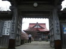 日本で一番最後に咲くサクラ・・・完結編
