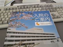 外泊