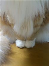 まったり まったり