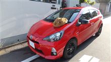 やはり洗車は気持ち良い