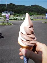 帰宅しました(＾＾)