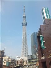 春の遠足