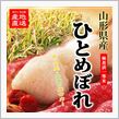 一目惚れに，ご注意を。 (p ...