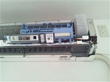 ファブリーズ作戦
