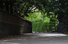 徳島城跡に行ってきました 徳島城跡に行ってきました