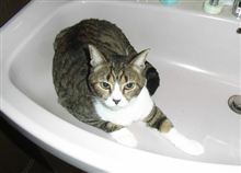 なにか？
