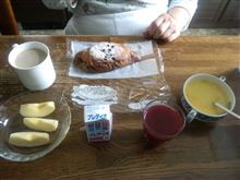 メマンチン(メマリー)を中止してみる メマンチン(メマリー)を中止してみる
