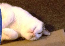 今日、この方がこられます。
