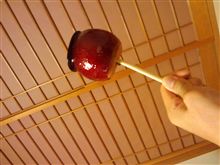 誰か助けて下さい？