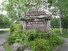 群サイの見学に行ってきました! 群サイの見学に行ってきました!