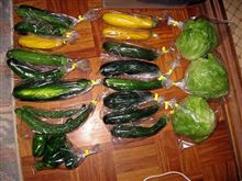 野菜