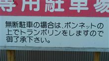 南の島の贈り物♪