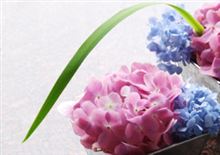 雨の日には、靴を買って・・