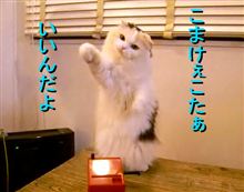 毎日の積み重ね…