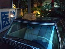 Benz230SL ☆ 乗車中。