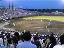 野球観戦
