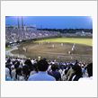 野球観戦