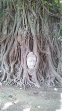 タイに行ってたよ～★