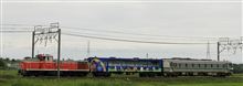 JR千葉支社管内　アンパンマントロッコ　試運転送り込み回送