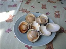 やっぱり