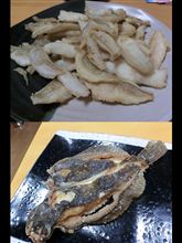 キス釣り（松陽丸）