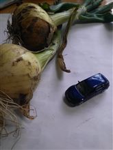 こんな感じ