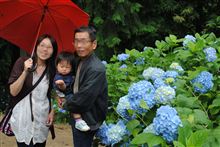 大窪寺（四国八十八ヶ寺の結願場）の紫陽花を、見てきました。