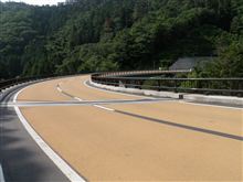 若葉萌ゆる道