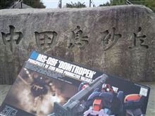 中田島砂丘に