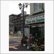 お花茶屋でつかまえて